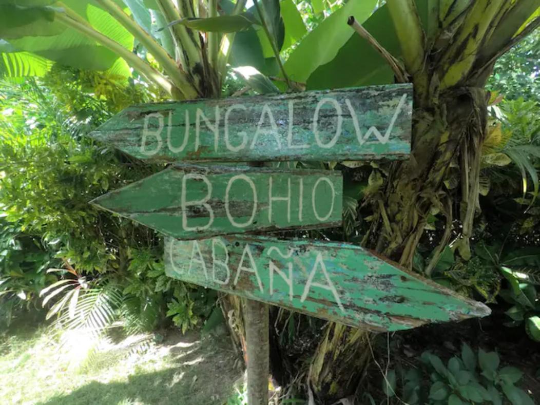 Dream Glamping Jungle Bohio Ξενοδοχείο Las Terrenas Εξωτερικό φωτογραφία