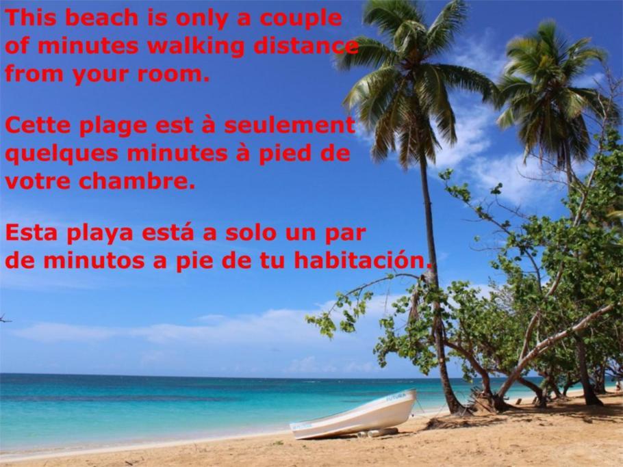 Dream Glamping Jungle Bohio Ξενοδοχείο Las Terrenas Εξωτερικό φωτογραφία