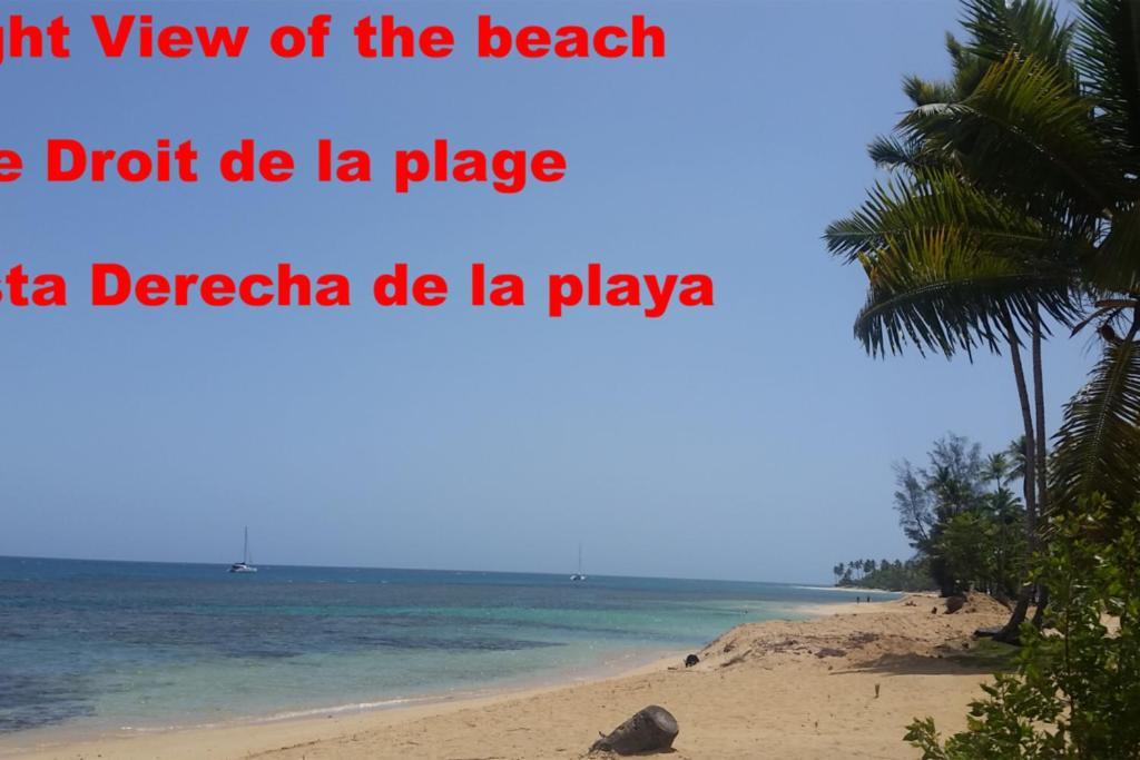 Dream Glamping Jungle Bohio Ξενοδοχείο Las Terrenas Εξωτερικό φωτογραφία