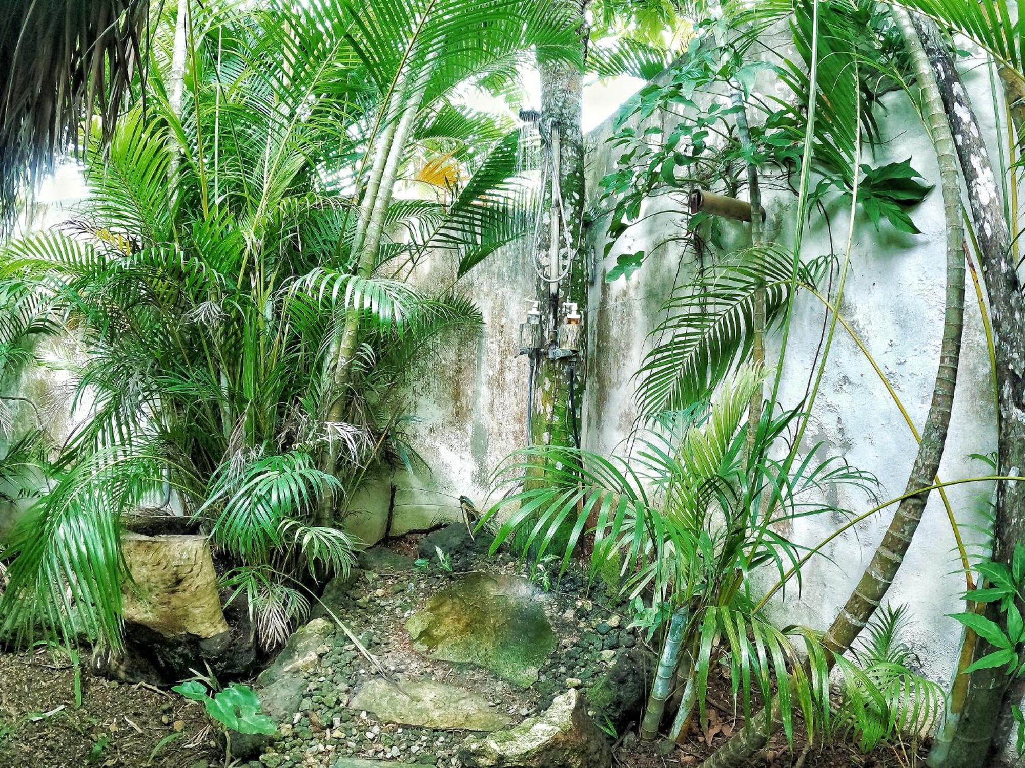 Dream Glamping Jungle Bohio Ξενοδοχείο Las Terrenas Εξωτερικό φωτογραφία
