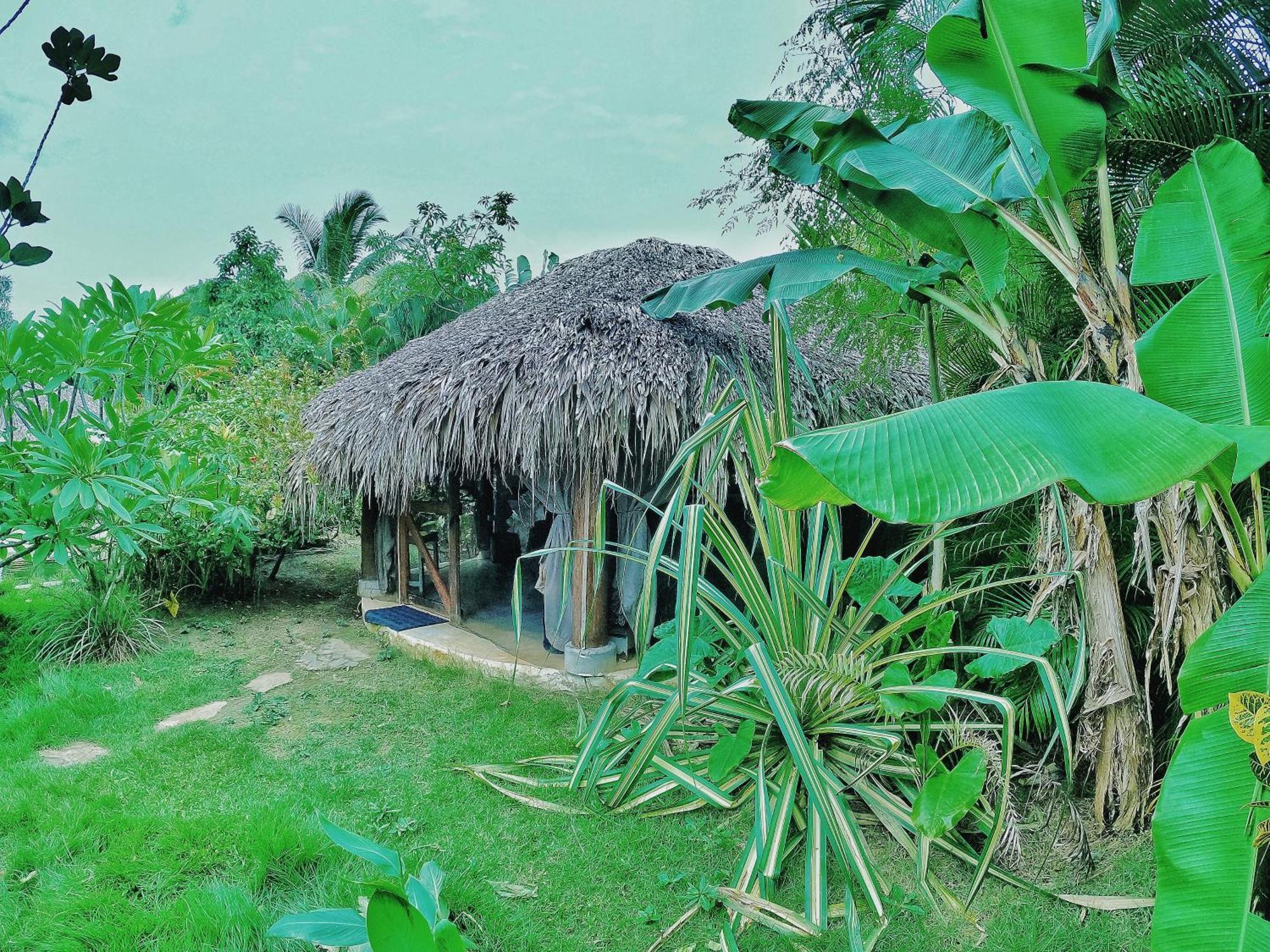 Dream Glamping Jungle Bohio Ξενοδοχείο Las Terrenas Εξωτερικό φωτογραφία