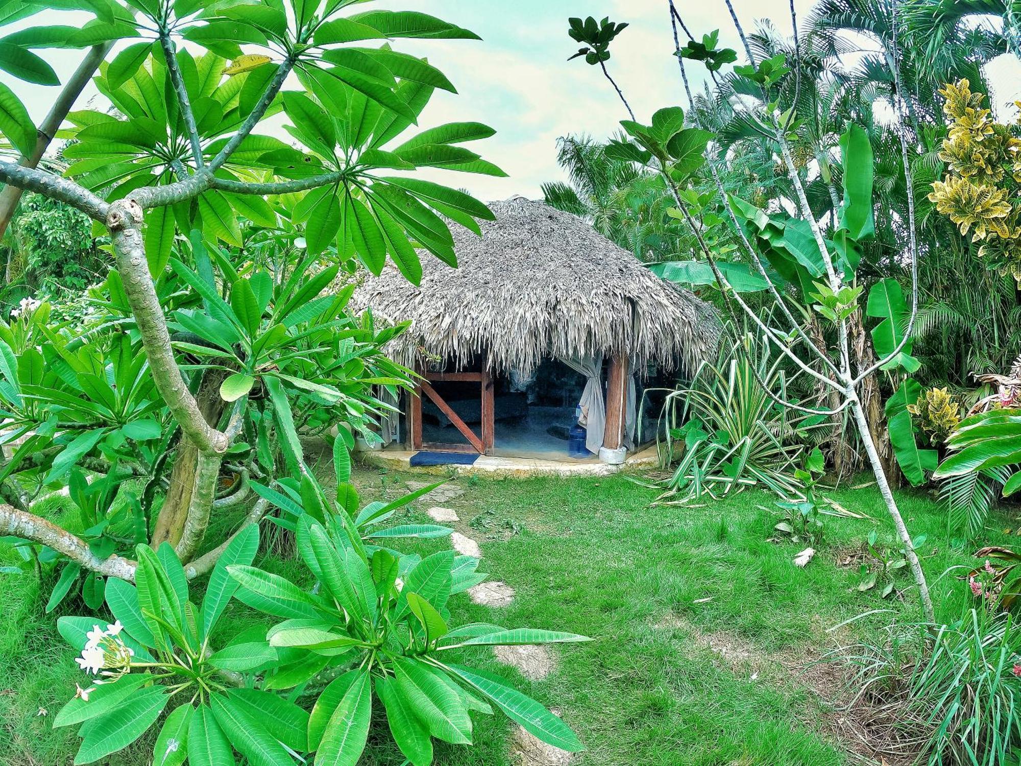 Dream Glamping Jungle Bohio Ξενοδοχείο Las Terrenas Εξωτερικό φωτογραφία