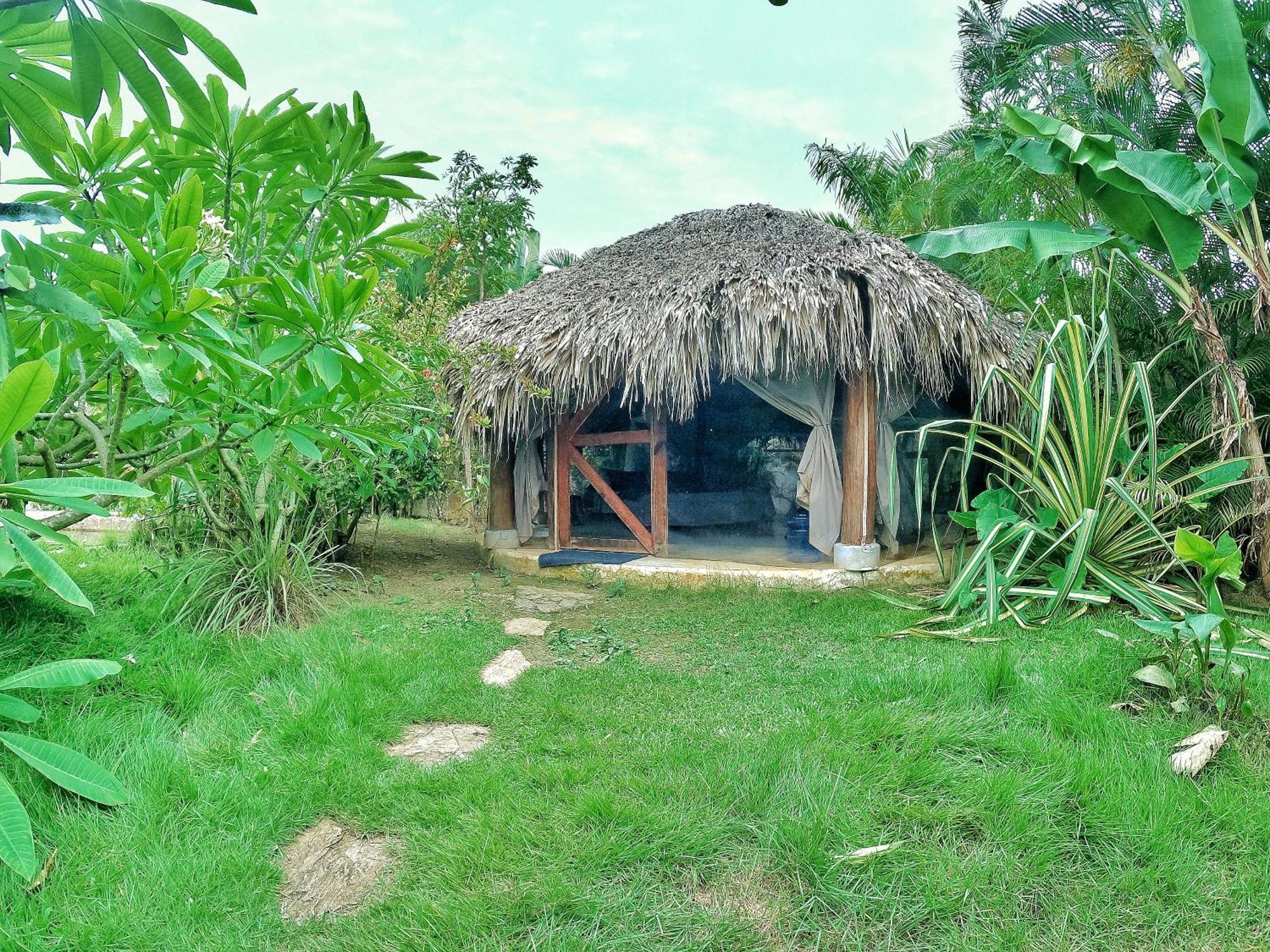 Dream Glamping Jungle Bohio Ξενοδοχείο Las Terrenas Εξωτερικό φωτογραφία